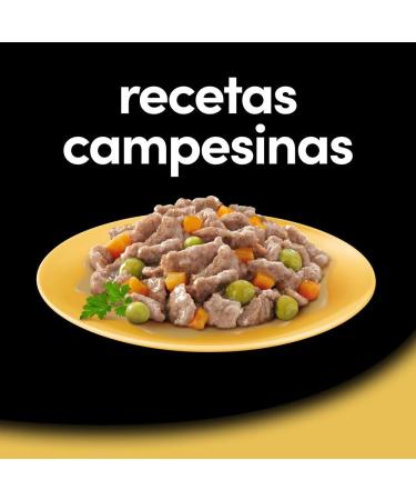 Cesar Wet Dog Food - Rural Recipes in Sauce 24 Pack (6 x 4 Cups 150g) - Premium International Shipping - Buy Online on GoSupps.com