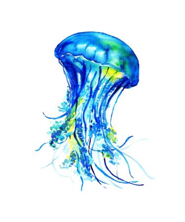SanerLian Jellyfish Octopus Temporary Tattoo Sticker Set of 24 (SF195) - Waterproof Ocean Watercolor Body Art 10.5X6cm - Buy Online on GoSupps.com