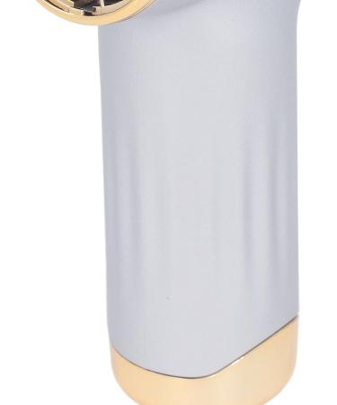 Hair Dryer Mini Dust Blower Easy To Carry 4 Levels Wind for Home for Outdoor for Cats Dogs (Silver) - Buy Online on GoSupps.com