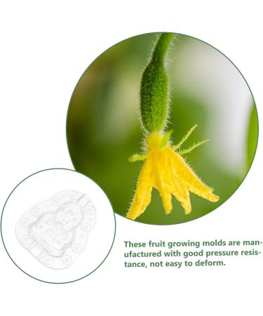 CAXUSD 3pcs Vegetable Growing Mold Small Fruit Mold Fruit Vegetable Mold Watermelon Accessories Plastic - Buy Online on GoSupps.com