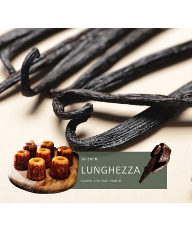 5 Gourmet Bourbon Vanilla Pods from Madagascar 16-18cm 100% Natural Aromatic Fresh and Fleshy - Buy Online on GoSupps.com