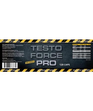 Pure Beta Alanine Extreme - Testo Force Pro 240 Capsules | High-Dose Pre Workout Booster for Bodybuilders | Premium Quality Nutritional Supplement - Buy Online on GoSupps.com