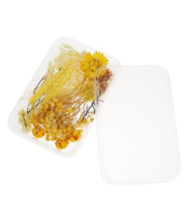Zerodeko 1 Box Dried Flowers Dry Flowers for Resin Dried Hydrangea Flowers Scrapbooking Art Floral Picture Frame Flower Diy Floral Material Package Pressed Flowers Natural Fine Decorate Yellow 11X1CM