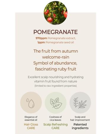 TheMogan True.LAB Pomegranate Shampoo - Natural Nourishment for Damaged Hair | Essential Oils & Plant-Based Protein | 135ml / 5.8 Fl Oz - International Shipping Available - Buy Online on GoSupps.com