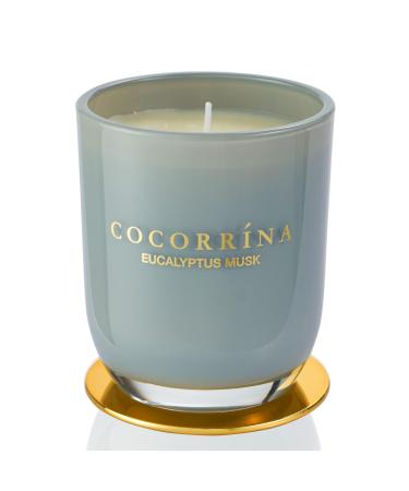 Cocorr na Candle fragrance candle in a glass - eucalyptus musk burning time up to 22 hours natural soy candle Christmas gift candle 180g eucalyptus musk 180g - Buy Online on GoSupps.com