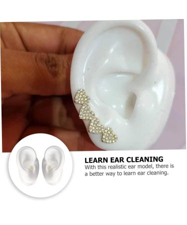 Mobestech 3 Pairs Ear Mold Model - Teaching Holder & Headset Stand for Desk - Soft Clean Imitation Ear for Office & Scientific Use - Buy Online on GoSupps.com