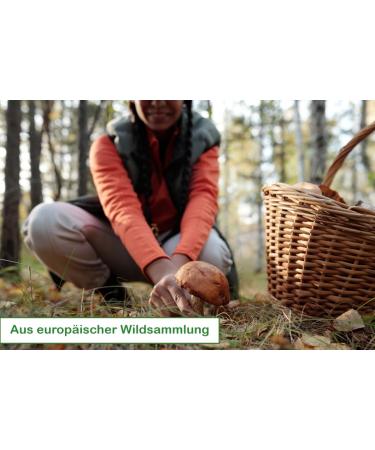 Dr.Ana Collection - Dried Stone Mushrooms Slices (100g) | 100% Natural No Additives | Premium European Wild Harvest - Buy Online on GoSupps.com