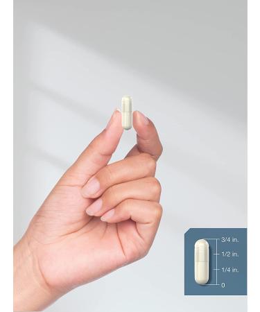L-Theanine 400mg Capsules - Value Size | High Potency Formula | Non-GMO & Gluten Free by Horbaach - Buy Online on GoSupps.com