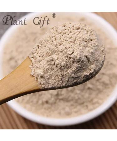 100% Pure Mushroom Powder - Natural Mushroom Flour | Non-GMO, No Fillers or Additives | 100g/3.25oz - Perfect Plant Gift for Enhanced Flavor and Taste - Buy Online on GoSupps.com