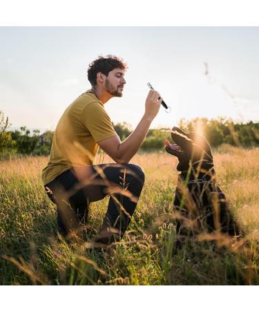 Gheart Dog Whistle 2-Pack | Professional High-Frequency Ultrasound Training Pipe | Silent Dog Education Tool - Black - Buy Online on GoSupps.com