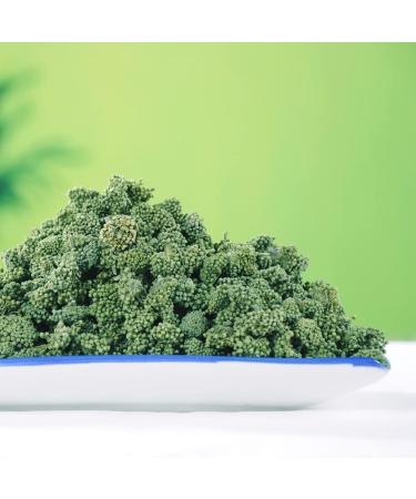 Panax Notoginseng Sanchi Flower Sanchi Flower Sanqi Flower Buds pseudo-ginseng Flower flower Buds of Panax Notoginseng Panax Notoginseng Flower Bud sanqihua notoginseng (1000grams) - Buy Online on GoSupps.com