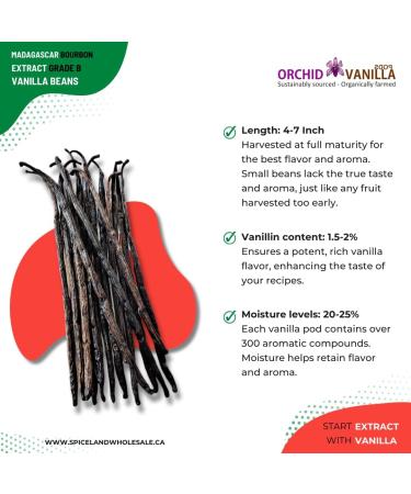 Madagascar Extract Grade-B Bourbon Vanilla Beans For Extract Making By Count (50 Beans (Pack of 1)) - Buy Online on GoSupps.com