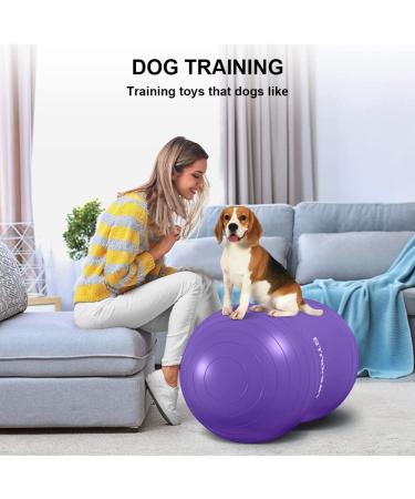STOROMO Peanut Ball 23x12 inch Purple - Exercise & Pregnancy Yoga Ball for Core Strength Training - Includes Pump - Buy Online on GoSupps.com