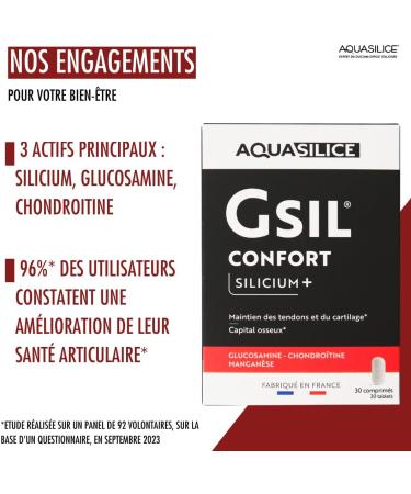 GSIL Tablets - Silicon Gluco-Chondro - GSA - Made in France - Buy Online on GoSupps.com