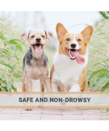 Pets Purest All Itch and Immunity Support Supplement Drops 50ml - Natural Skin Aid for Dogs & Cats - Paw Licking, Itchy Ears, Irritation, Watery Eyes - Buy Online on GoSupps.com