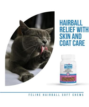 Revive Active - Feline Hairball Soft Chews 48ct - Cat Hairball Remedy Designed Specifically for Cats That are Prone to Hairball Problems - Treats That Help Maintain a Healthy Coat. - Buy Online on GoSupps.com
