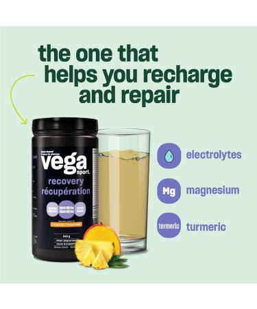 Vega Sport Post-Workout Recovery Accelerator Tropical (20 Servings) Vegan Non Dairy Gluten Free BCAAs 540g (Packaging May Vary) Tropical 20 Servings (Pack of 1) - Buy Online on GoSupps.com