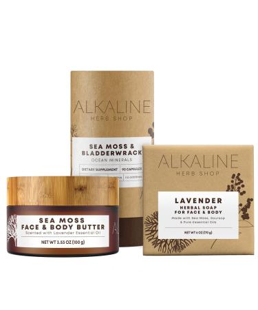 Alkaline Herb Shop - Sea Moss Body Glow Bundle - Sea Moss & Bladderwrack Supplement Sea Moss Face & Body Butter Sea Moss Soursop & Lavender Soap