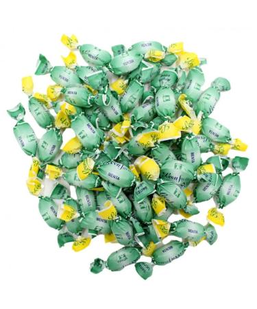 Pastiglie Leone Leonsnella - Sugar Free Mint Sweets - 500g - No Dyes and Gluten Free - Sweet with Isomalt Malititi - Lion