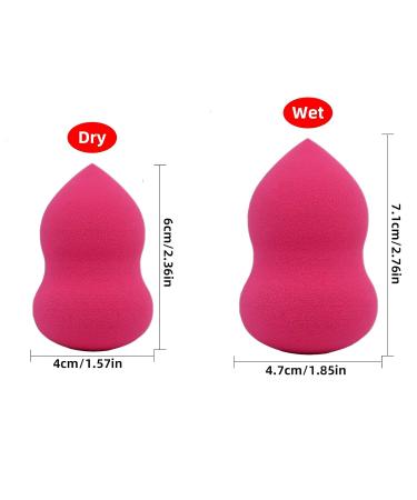 Dolovemk 5 PCs Makeup Sponge Set & Kabuki Primer - Latex-Free Beauty Egg for Flawless Foundation & Powder Application - Buy Online on GoSupps.com