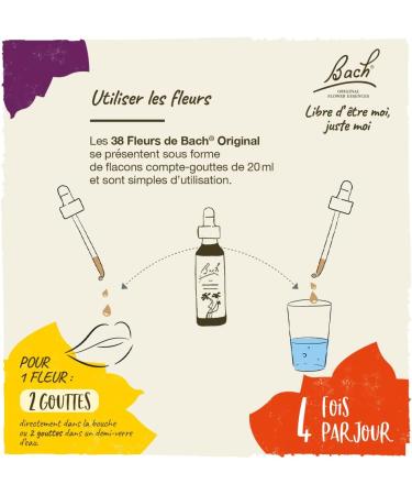 Fleurs de Bach Original Rock Rose No 26 pour plus de courage aide surpasser ses peurs. Elixir floral naturel pour le bien- tre motionnel. Compte-Gouttes 20ml Vegan - Buy Online on GoSupps.com