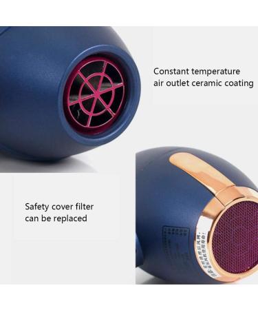 Hairdryer Professional Ionic Hair Dryer 2000W Powerful AC Motor Salon Fast Blow Dryers 3 Heat 2 Speed Settings Low Noise Hair Dryer with Hair Diffusers and 2 Nozzle for Home and Salon Blue Small Gift Brown - Buy Online on GoSupps.com