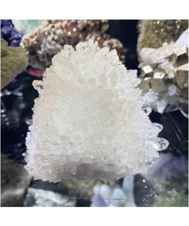 Natural Clear Quartz Cluster Minerals for PositiveStone Home Furnishing Decoration Crafts (Size : 600-650g) HOMEZHOU (Size : 300-350g) - Buy Online on GoSupps.com