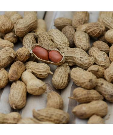 TRS Pink Peanuts 1.5 kg 1 Unit - Buy Online on GoSupps.com
