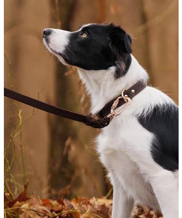Joytale Leather Dog Collar with QR ID - Soft Durable Adjustable for Medium Dogs (30-39cm) - Stylish Brown - Buy Online on GoSupps.com