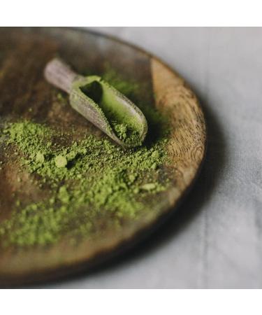 Organic Moya Matcha Daily Tea Green Powder | 250g Daily Grade (III) | Perfect for Drinking with Lattes Smoothies &Lemonades Moya Matcha Daily 250g - Buy Online on GoSupps.com