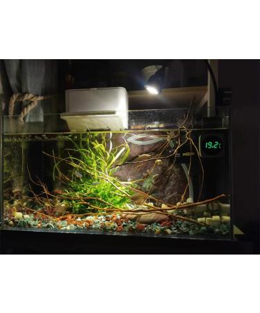 LED Touch Screen Aquarium Thermometer - Accurate Stick-on Temperature Sensor for Fish Tank, Turtle, Betta, Amphibians & Reptiles - Buy Online on GoSupps.com