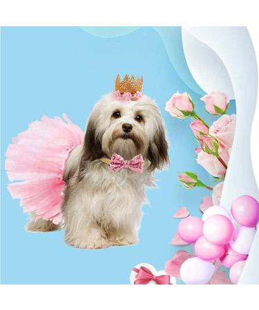Fashion Party Supplies Tutu Skirt Pink Gift for Small Dogs Cat Pet Birthday Party Dress Crown Hat Collar Cat Dog Birthday Set (Pink) - Buy Online on GoSupps.com