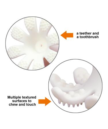 Mombella Ollie Octopus Silicone Teething Toy for 3M+ Babies - Freezable Gum Massager with 8 Feet, Different Textures for Pain Relief - Baby Bathing Toy, Pink - Buy Online on GoSupps.com