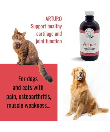 Phyto Ani-Maux Arturo (500 ML) - Natural Herbal Medicine Product (Cats and Dogs) Good Joint Health. - Buy Online on GoSupps.com