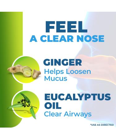 Bisolvine Aloe-Miel Cough Syrup - Effective Cough Suppressant & Expectorant with Guaifenesin & Dextromethorphan for Throat Relief & Mucus Control - Cold & Cough Relief Solution 6 fl oz 2-Pack - Buy Online on GoSupps.com