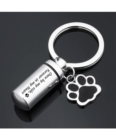 Canghai Stainless Steel Dog Paw Cremation Urn Keychain - Memorial Ashes Keepsake Pendant for Pet - Cremation Jewelry for Ashes - Buy Online on GoSupps.com