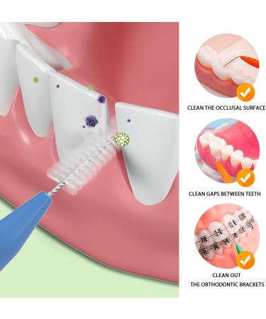 50-Part Interdental Brushes Set | Mini Tooth-Floss Picks & Braces Toothbrush | Colorful Dental Care Tools for Optimal Oral Hygiene - Buy Online on GoSupps.com