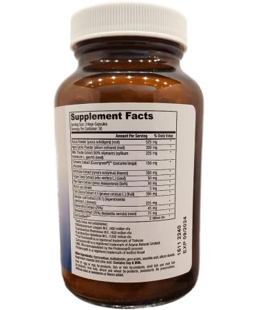 Flamasil Joint Aid Supplement | Cellular Repair | Uric Acid Extractor | Gentle Body Cleanser | 90 Capsules - Buy Online on GoSupps.com