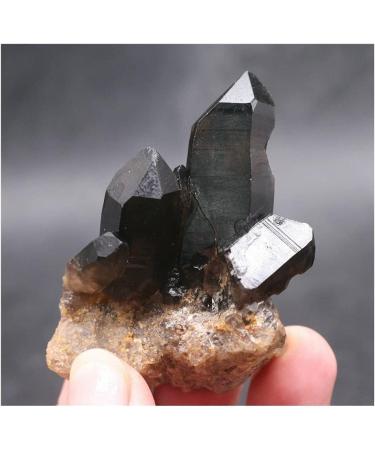 Crystal Natural Black Quartz Crystal Cluster Natural ore Sample Stone Crystal for Home Decoration Collection and Gift Draw yuebang Stone Mineral Specimen 80g-100g Black - Buy Online on GoSupps.com