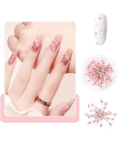 Nail Art Flowers Set Decoration - Geln gel Zubeh r 3 Farben(orange blassrosa Rose) Nail Art Aufkleber trockene Blumen Kit getrocknete Blumen Zubeh r Set DIY Nageldekoration - Buy Online on GoSupps.com