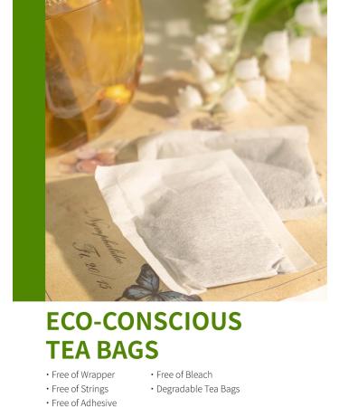 TeeLux Mint Green Tea Bags 100 Count - Refreshing 100% Natural Herbal Blend with Spearmint, Peppermint, Lemongrass, and Lemon Balm - Vibrant Mint Green Tea - Pack of 1 - Buy Online on GoSupps.com