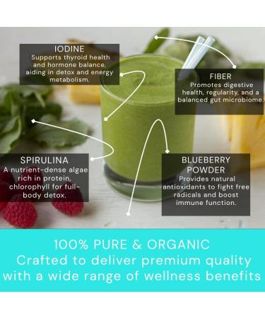 Ocean's Balance Daily Detox Smoothie Powder with Cilantro, Blueberry, Spirulina, Dulse Seaweed & Barley Grass Juice Powder Easily Digested Smoothie Mix for Detox Cleanse (4 oz - 1 Pack) Powder 4 Ounce (Pack of 1) - Buy Online on GoSupps.com