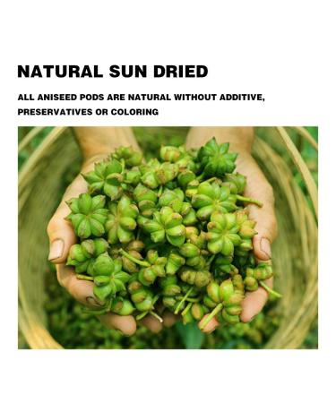 16oz Whole Star Anise Pods - 100% Natural Chinese Spice for Baking, Cooking, and Tea - Buy Online on GoSupps.com