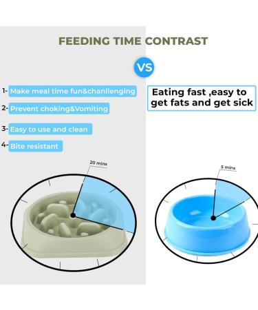 PTROUT Plastic Slow Feeder Dog Bowl - Prevent Choking & Overeating - Puzzle Pet Feeding Bowl for Medium & Small Dogs - Non-Slip Rubber Feet - Green - Buy Online on GoSupps.com