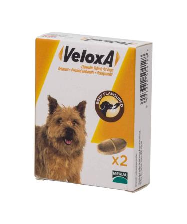 Veloxa Chewable Dog Wormer 4 Tablets