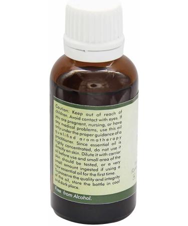 Carrot Seed Essential Oil Daucus Carota For Hair For Face Undiluted 100 Pure Steam Distilled Therapeutic Carrot Seed Essential Oil 100ml 338oz By R V Essential 100ml 338oz - Buy Online on GoSupps.com