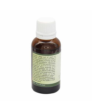 Pure Carrot Seed Essential Oil 100ml - 100% Natural Therapeutic Grade | R V Essential - Buy Online on GoSupps.com