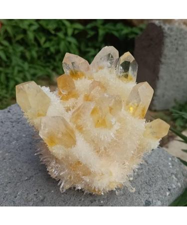 Natural Crystal Rough 300-400g Natural Yellow Crystal Cluster Crystal Rough Citrine Quartz Cluster Stone Mineral Specimen - Buy Online on GoSupps.com
