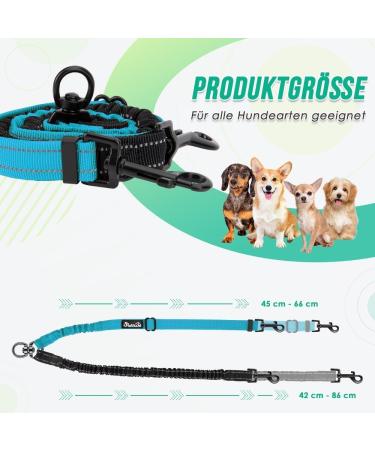 Buy NASJAC Double Dog Leash - No Tangle 360 Rotatable Adjustable Bungee Reflective Leash for Small Medium & Large Dogs - 2-Color Black & Aquamarine - Buy Online on GoSupps.com