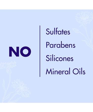 Klorane Purple Conditioner with Centaury - Brightens Blonde, Gray & White Hair - 6.7 fl.oz - Buy Online on GoSupps.com